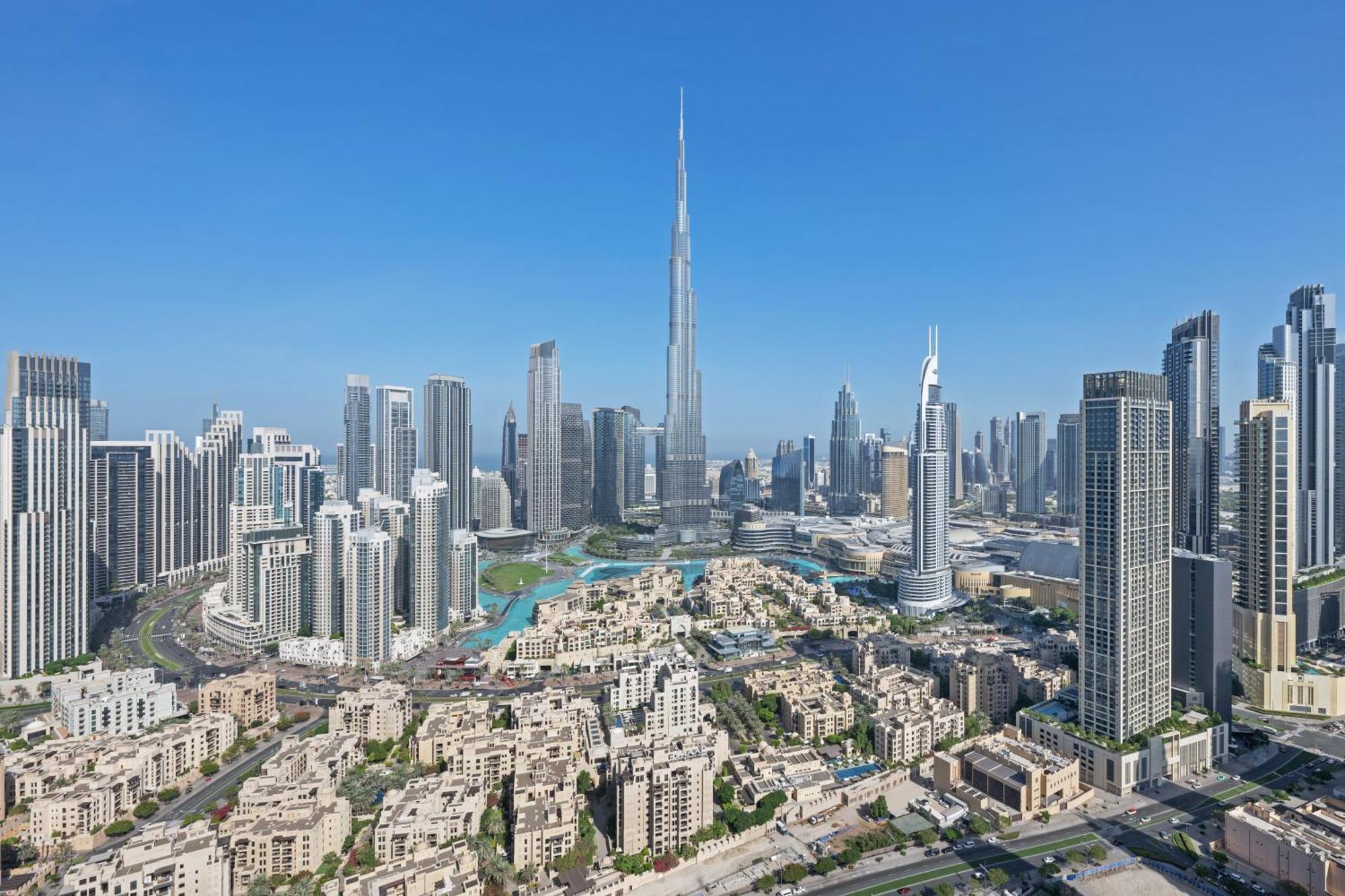 داماك ميزون ديستينكشن